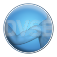 DVSE e.V.